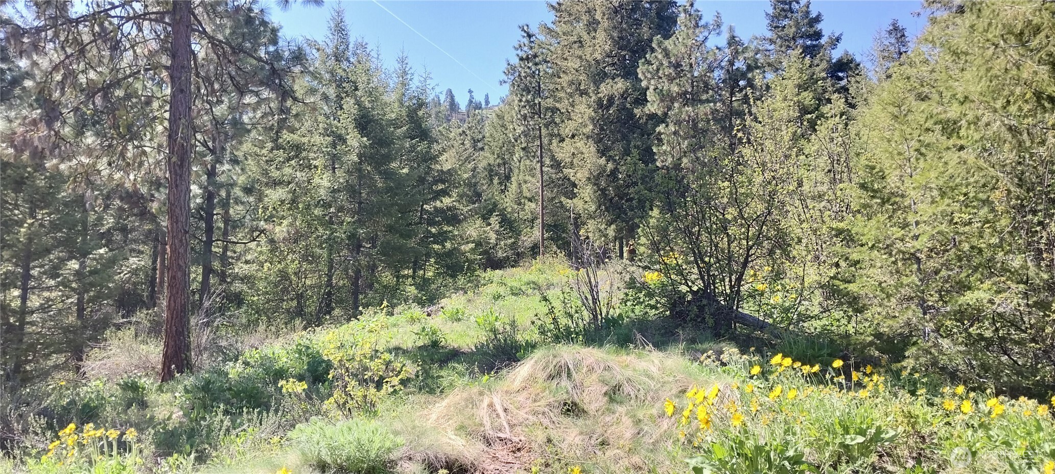 8010 Green Road Peshastin, WA 98847 - Photo 12 of 15