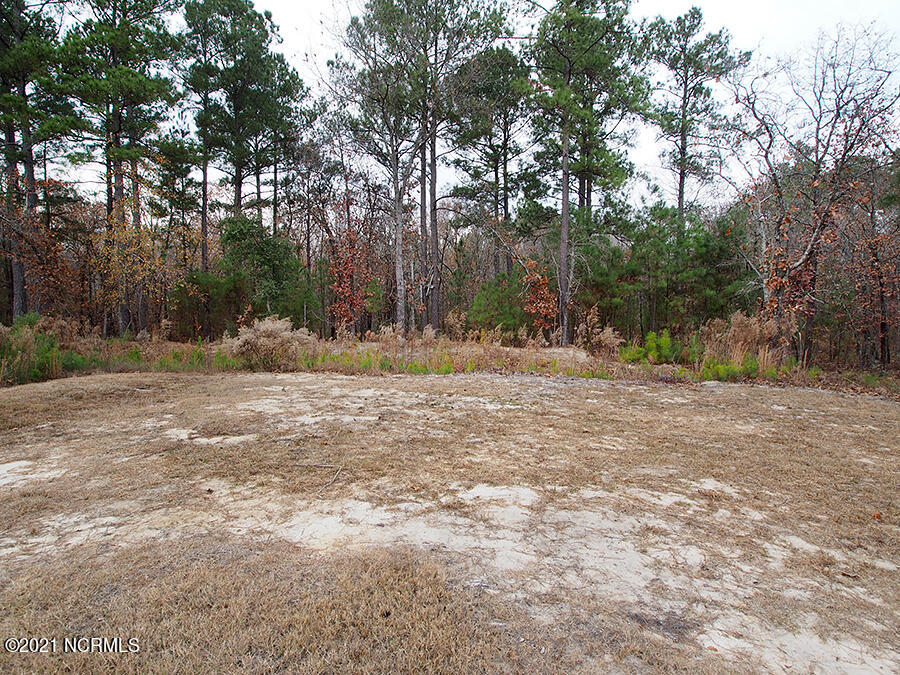 192 Sandy Springs Road Aberdeen, NC 28315 - Photo 45 of 47 yard2