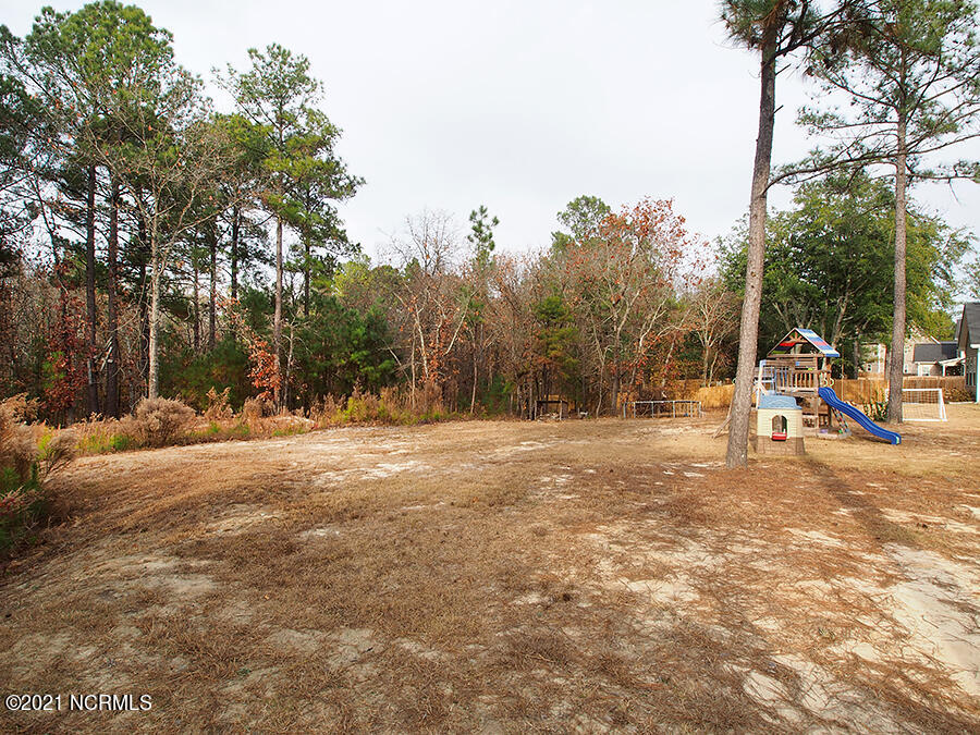 192 Sandy Springs Road Aberdeen, NC 28315 - Photo 47 of 47 yard8