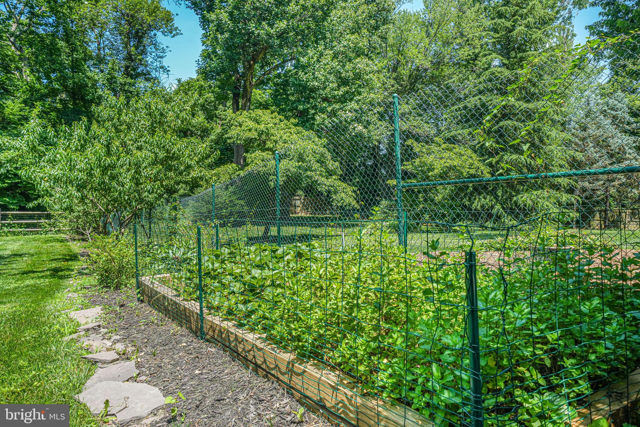 1930 Foxhall Road McLean, VA 22101 - Photo 60 of 62 a backyard of a house with lots of green space and garden