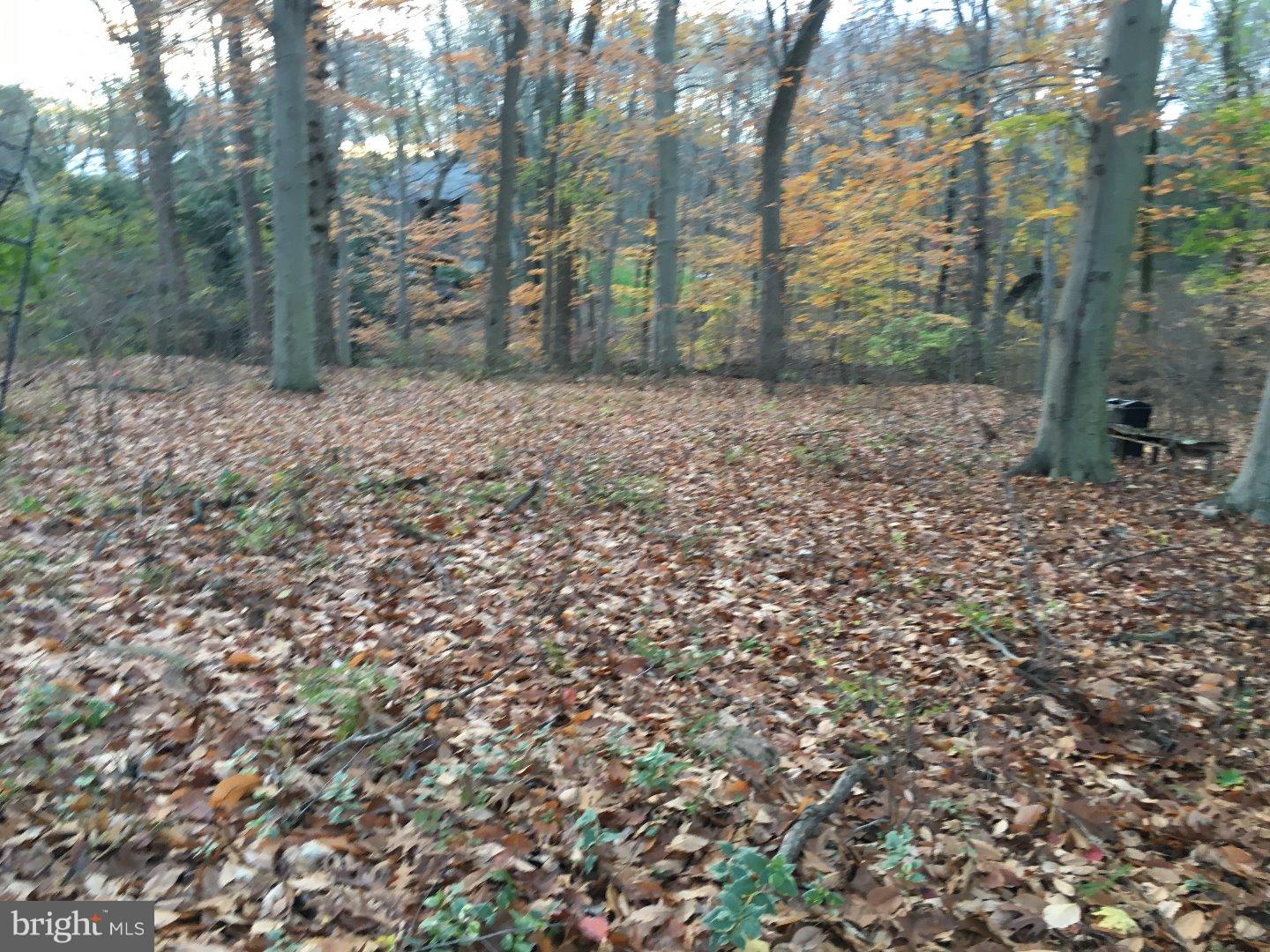 181 Sawmill Road Landenberg, PA 19350 - Photo 22 of 22