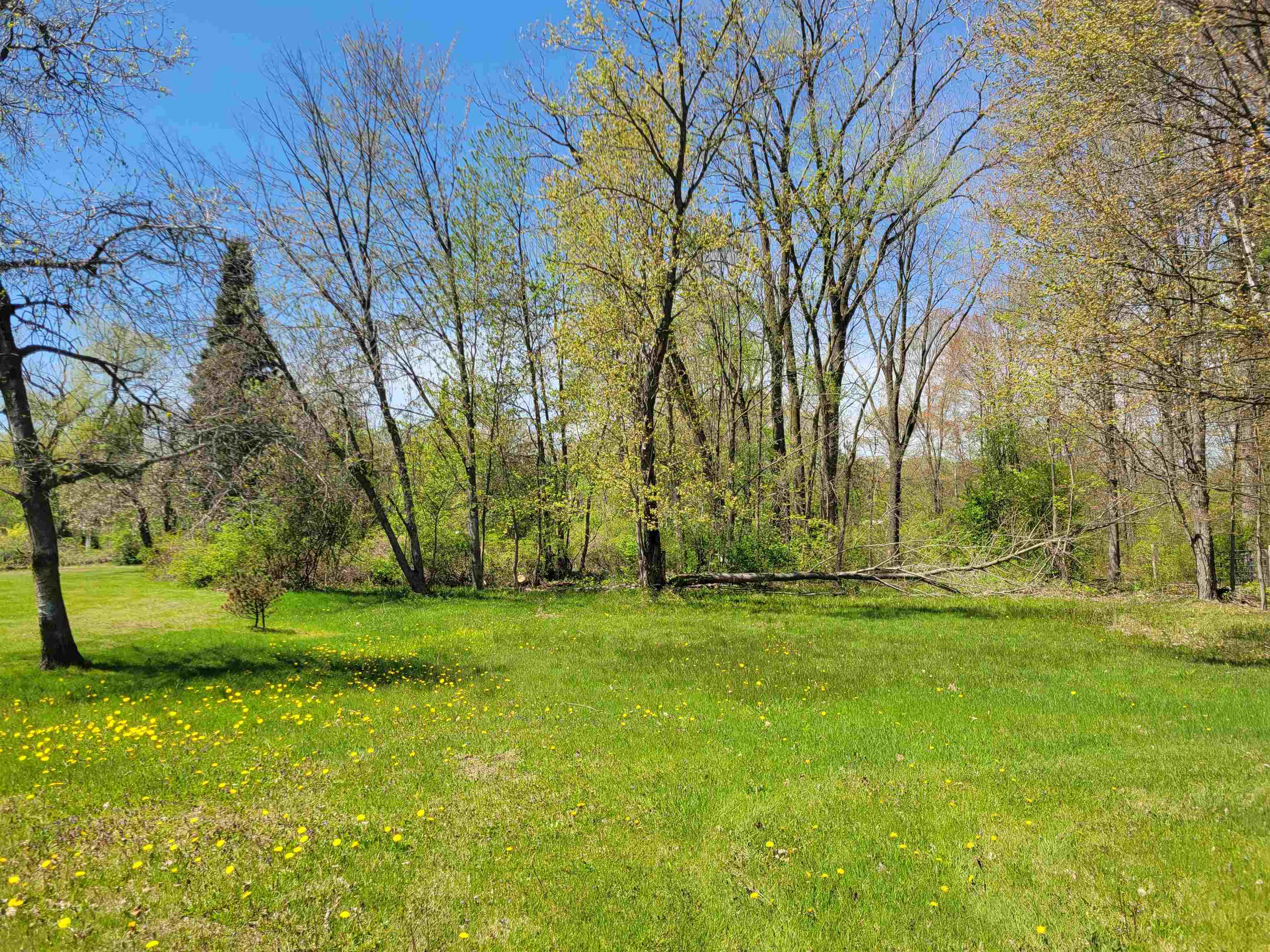 14317 North Lewis Road Clio, MI 48420 - Photo 24 of 25
