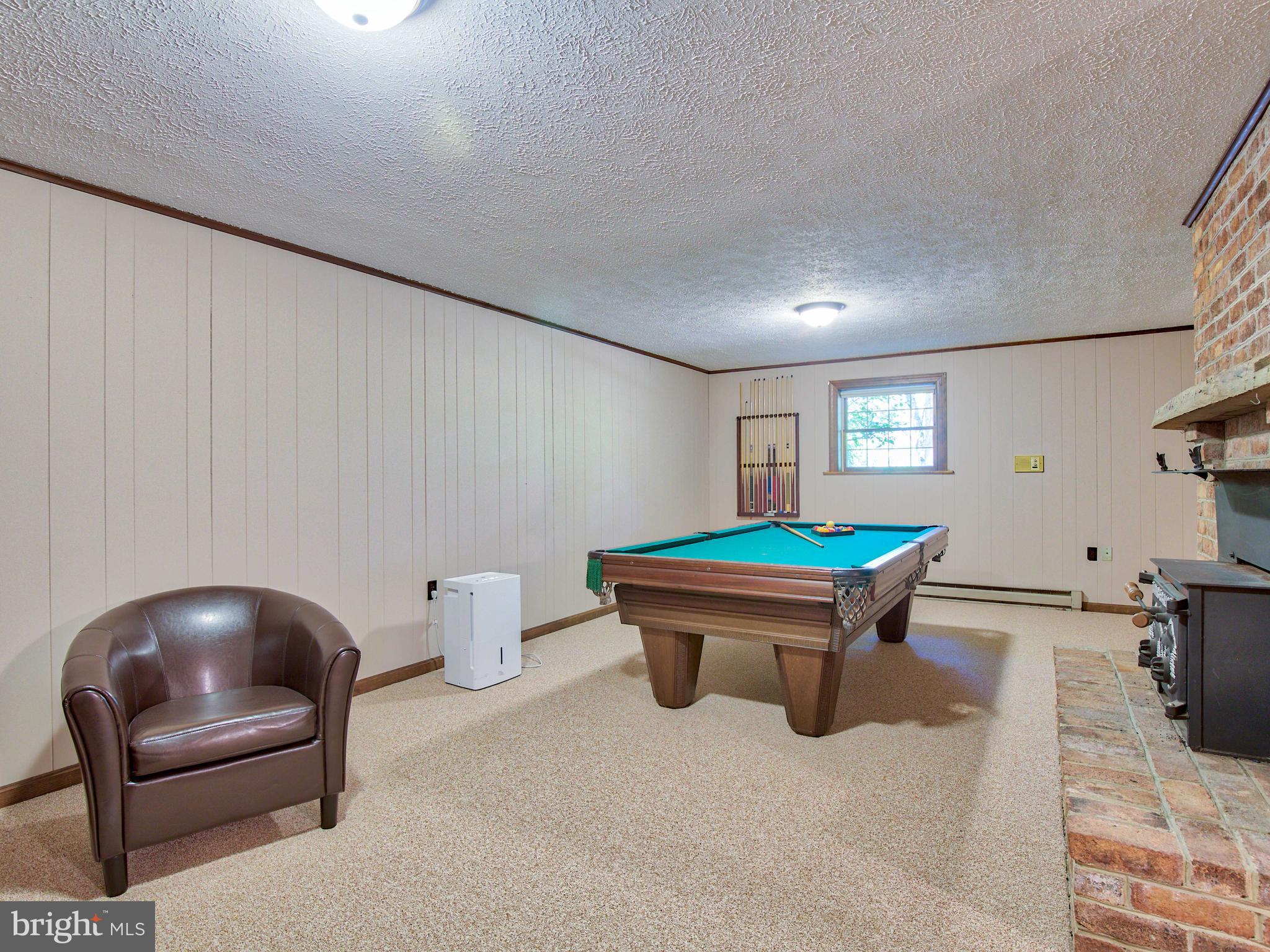 2469 Jones Road Winchester, VA 22602 - Photo 25 of 47 Recreation room #2, lower level, wood insert