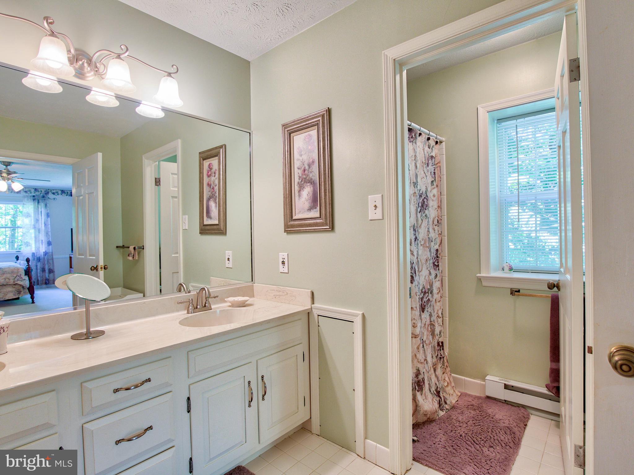 2469 Jones Road Winchester, VA 22602 - Photo 36 of 47 Master bath
