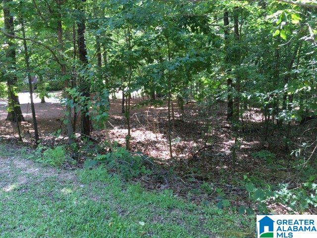8068 Castlehill Road Birmingham, AL 35242 - Photo 4 of 5