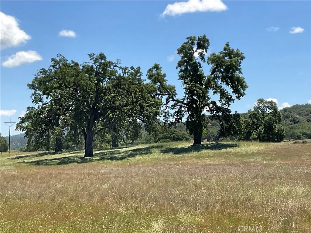 0 Interlake Road Bradley, CA 93426 - Photo 12 of 17 a view of outdoor space with deck and tree