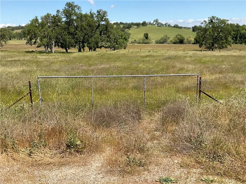 0 Interlake Road Bradley, CA 93426 - Photo 16 of 17 a view of a yard