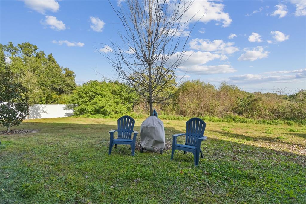 5228 New Friendship Place Tampa, FL 33619 - Photo 33 of 49 a garden view