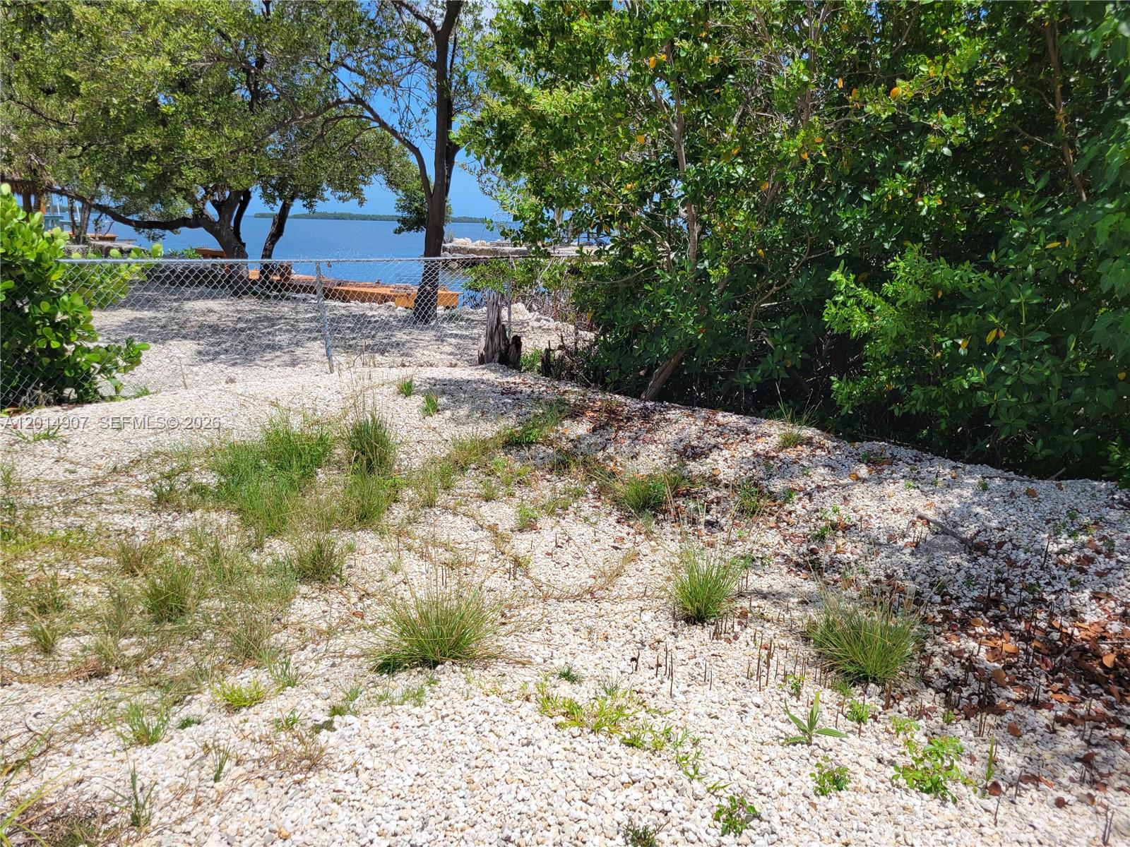 799 Hazel Street, Unit 799 Key Largo, FL 33037 - Photo 2 of 13 a view of a yard with plants and trees