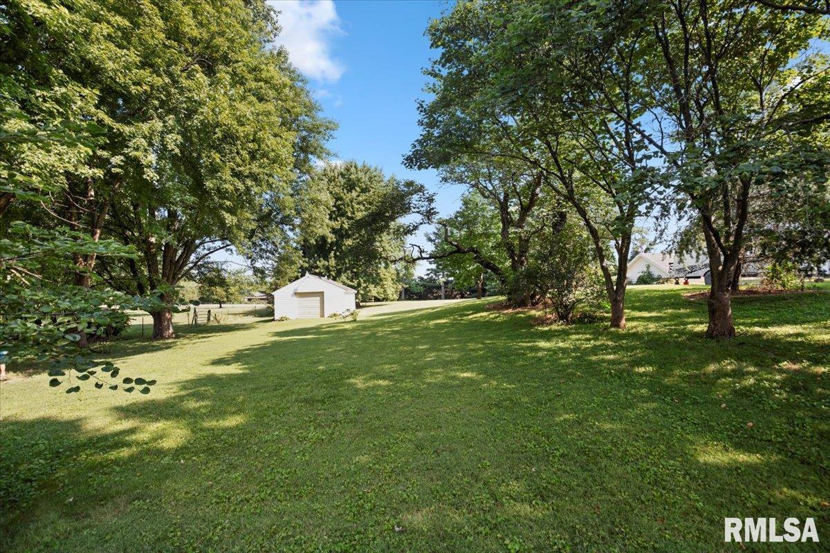 1204 West Main Street Rochester, IL 62563 - Photo 26 of 29