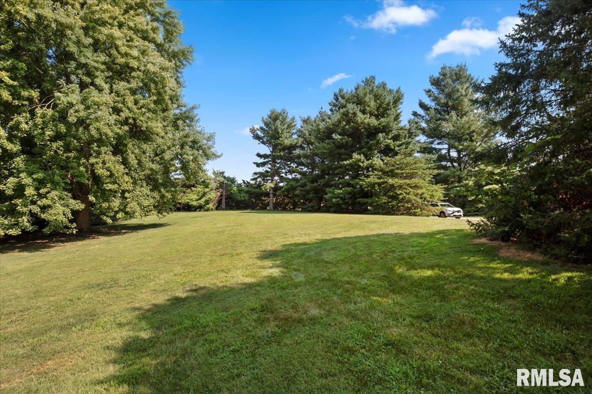 1204 West Main Street Rochester, IL 62563 - Photo 28 of 29