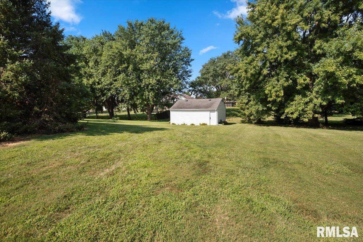 1204 West Main Street Rochester, IL 62563 - Photo 29 of 29