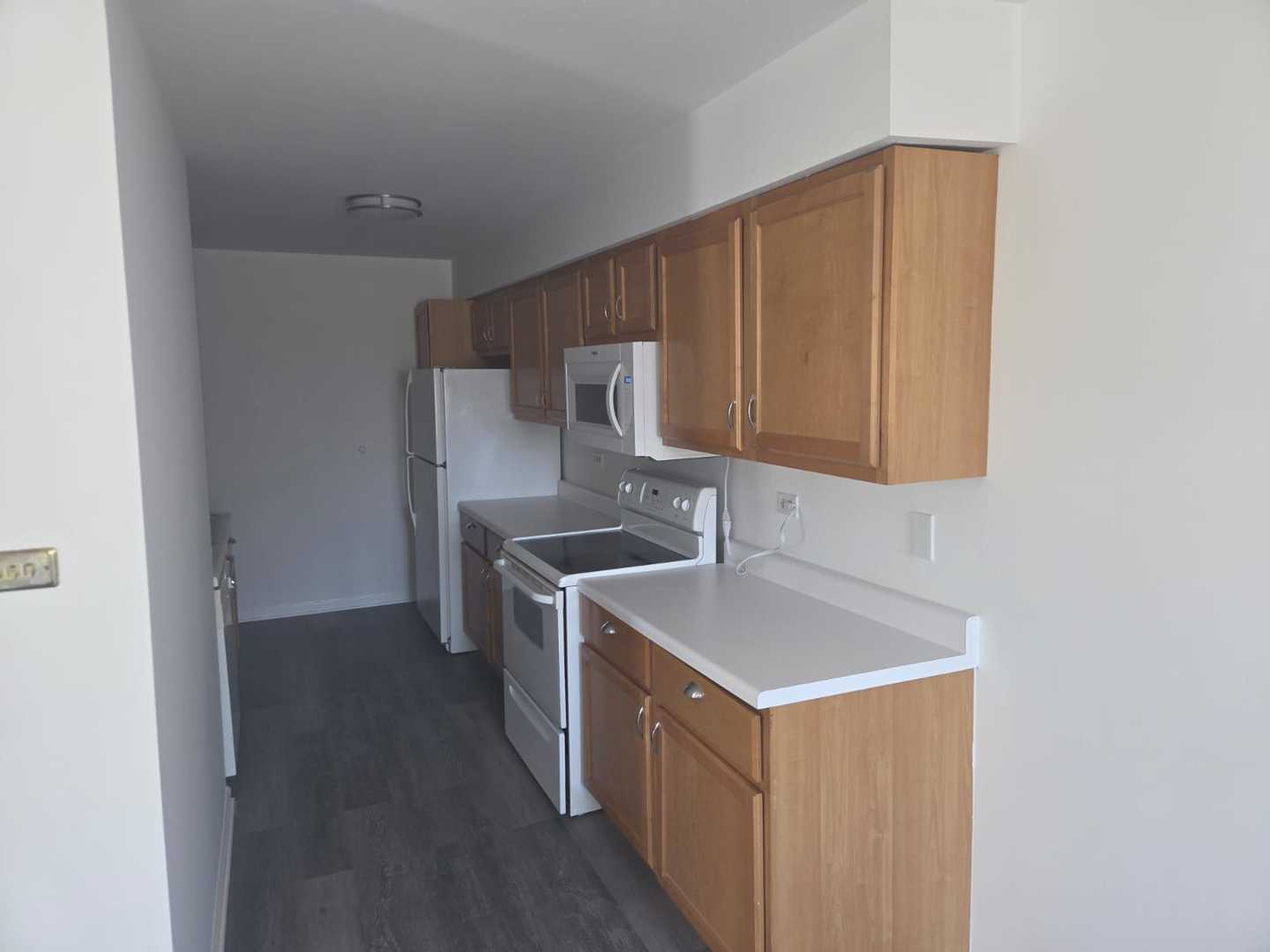 3360 West 184th Street, Unit 1E Homewood, IL 60430 - Photo 9 of 20