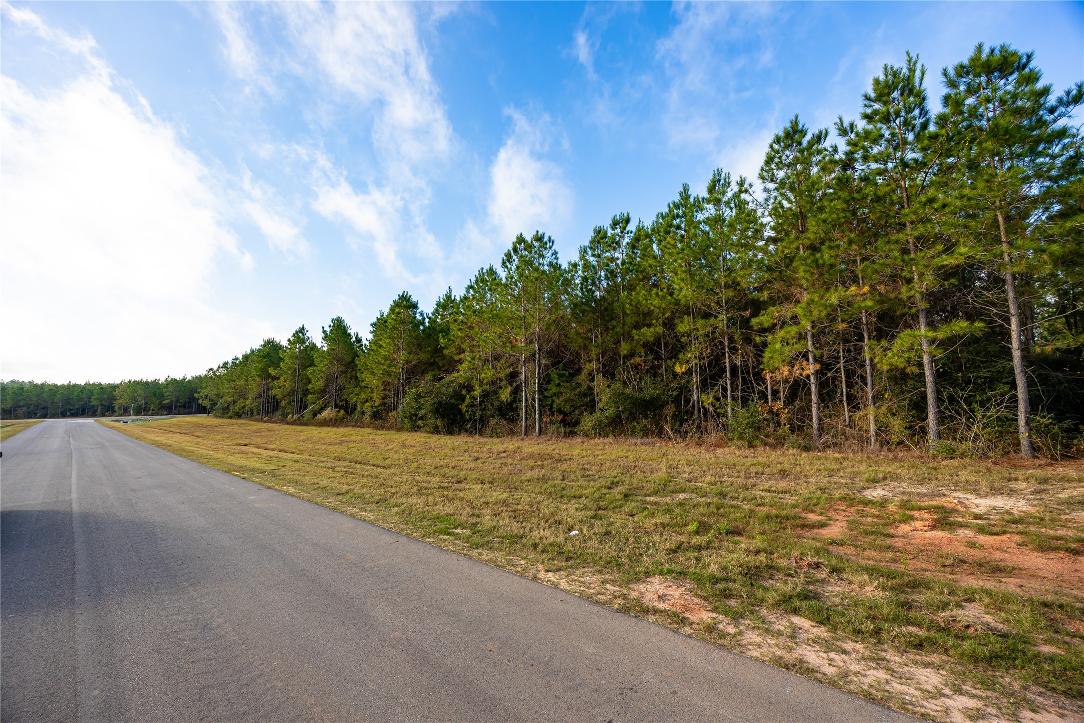 a view of a yard with an trees