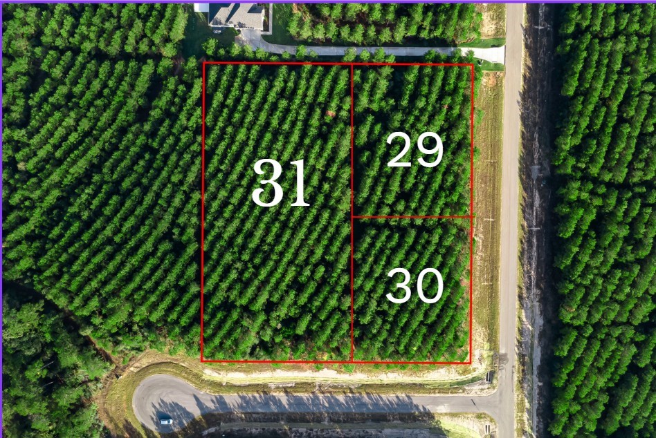 16320 Ridge Oak Road Willis, TX 77378 - Photo 4 of 14 a sign that is sitting in front of flowers