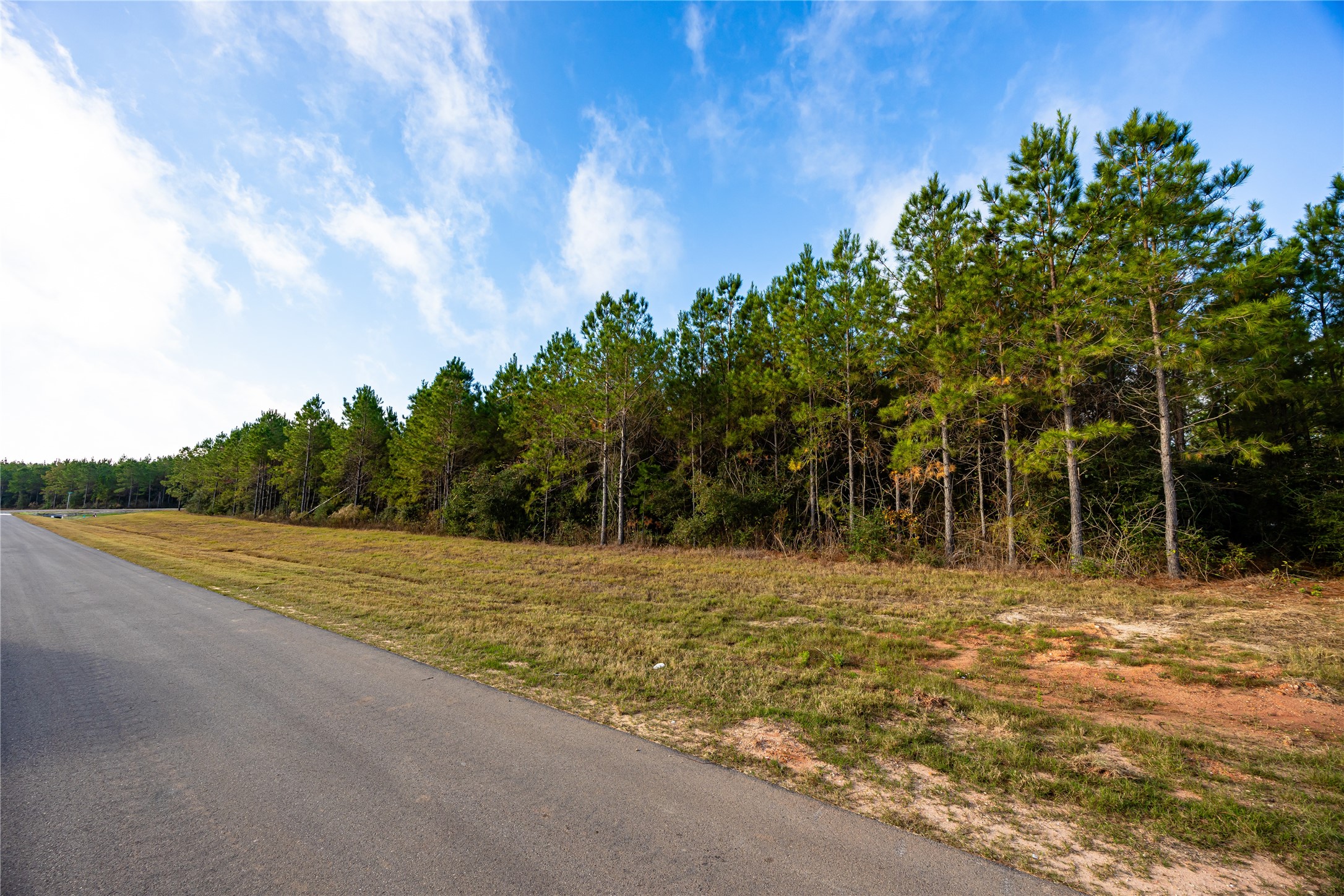 16320 Ridge Oak Road Willis, TX 77378 - Photo 7 of 14 a view of a yard with an trees