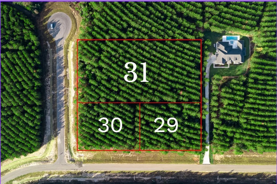 16320 Ridge Oak Road Willis, TX 77378 - Photo 8 of 14 a sign that is on the side of the road