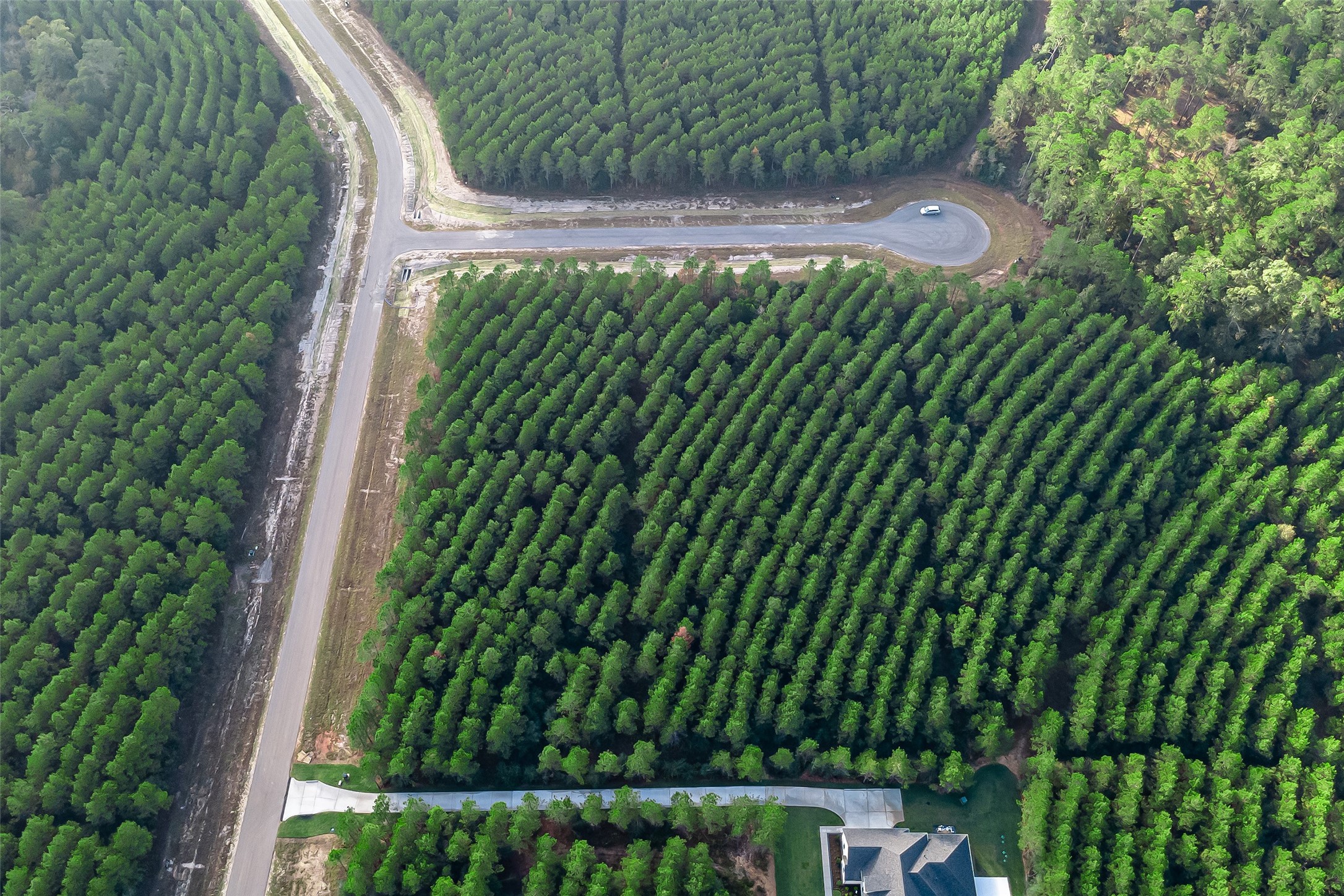 16320 Ridge Oak Road Willis, TX 77378 - Photo 10 of 14