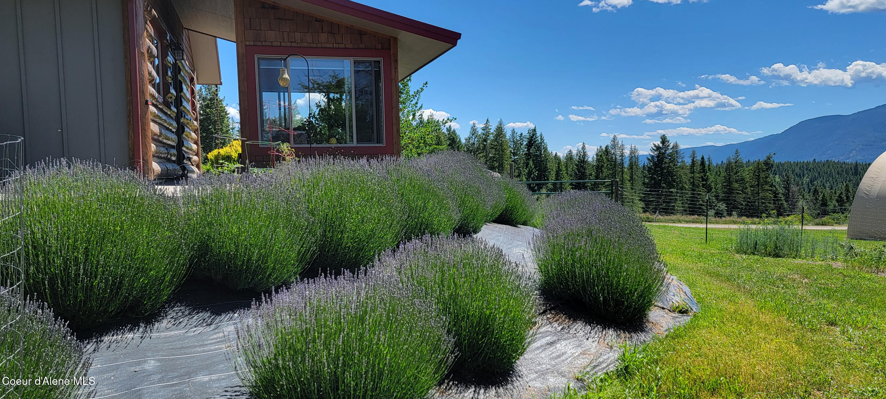 309 Pywell Road Bonners Ferry, ID 83805 - Photo 6 of 51 20260618_135625-2