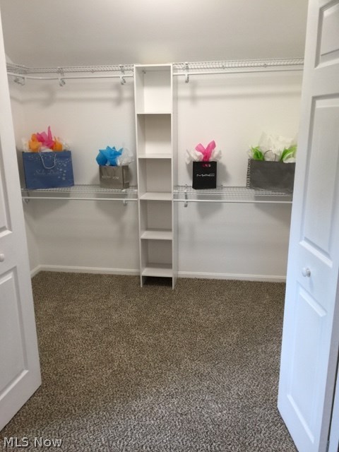 1411 Yellowstone Road Cleveland, OH 44121 - Photo 21 of 27 Gallery Image 21