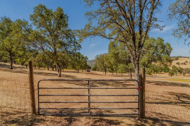a kitchen with a refrigerator a stove top oven a sink and cabinets with wooden floor