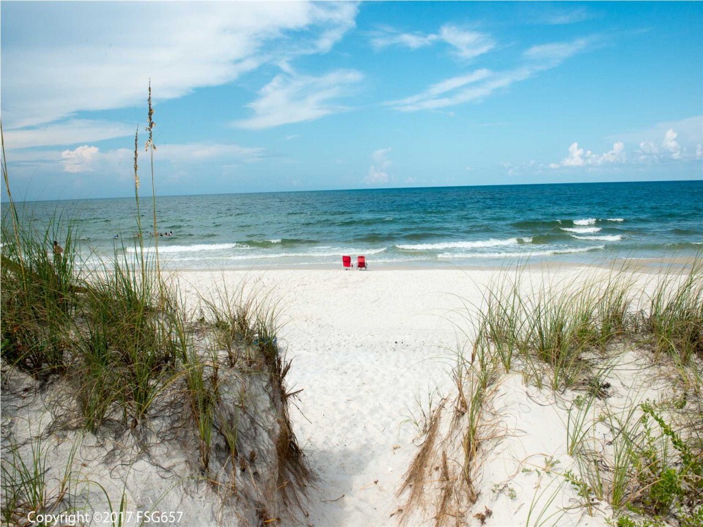 22 Cape San Blas Road Port St. Joe, FL 32456 - Photo 8 of 12