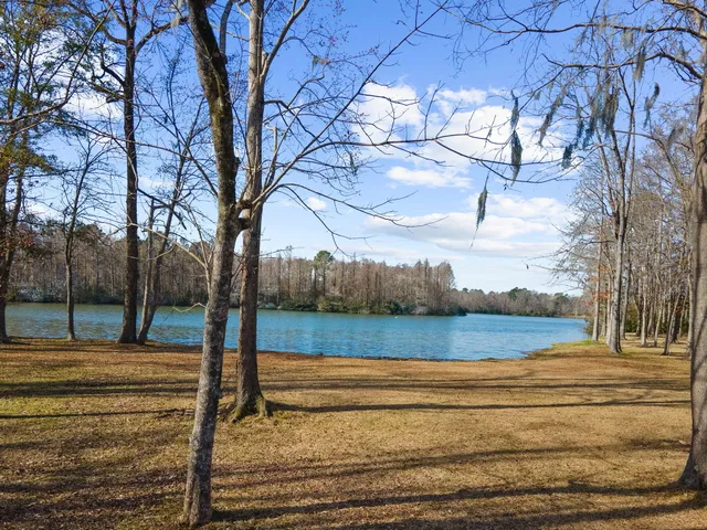 $1,300,000 | 146 Loganberry Circle, Goose Creek, SC 29445