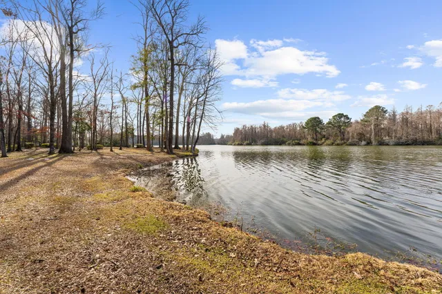 $1,300,000 | 146 Loganberry Circle, Goose Creek, SC 29445