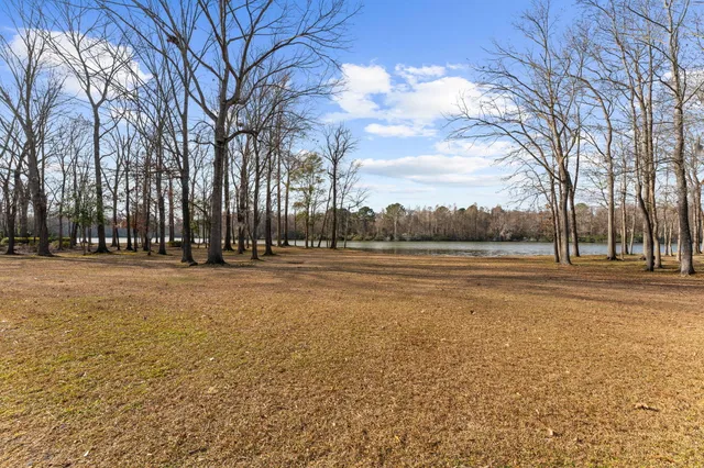 $1,300,000 | 146 Loganberry Circle, Goose Creek, SC 29445