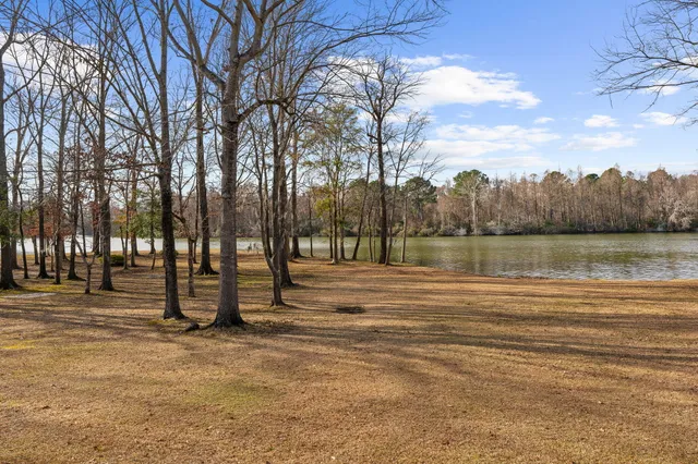$1,300,000 | 146 Loganberry Circle, Goose Creek, SC 29445