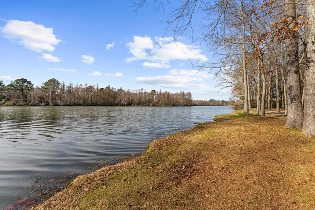 $1,300,000 | 146 Loganberry Circle, Goose Creek, SC 29445