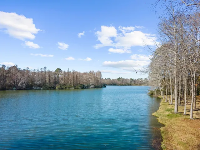 $1,300,000 | 146 Loganberry Circle, Goose Creek, SC 29445