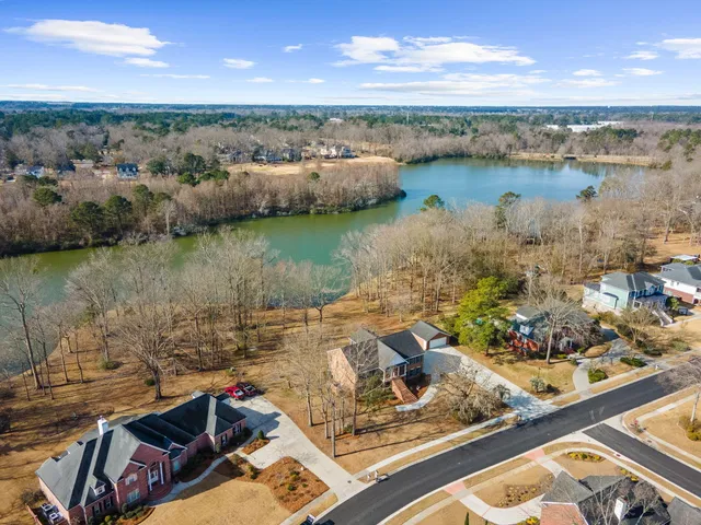 $1,300,000 | 146 Loganberry Circle, Goose Creek, SC 29445