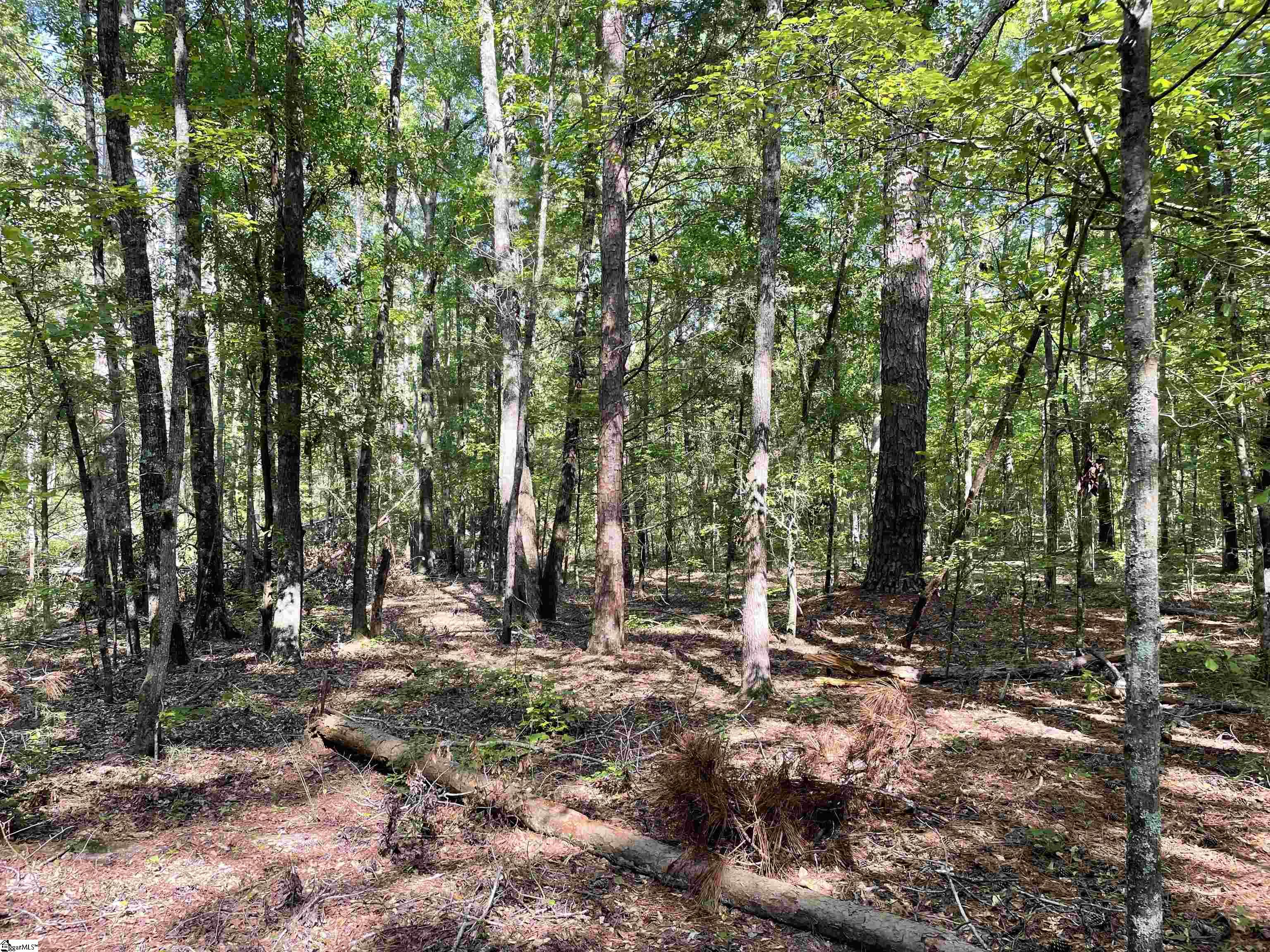 0 Clatworthy Road, Unit LOT 1 Honea Path, SC 29654 - Photo 15 of 27