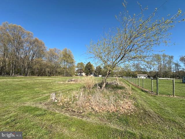 4854 Avery Road Shady Side, MD 20764 - Photo 8 of 30 a view of yard with trees