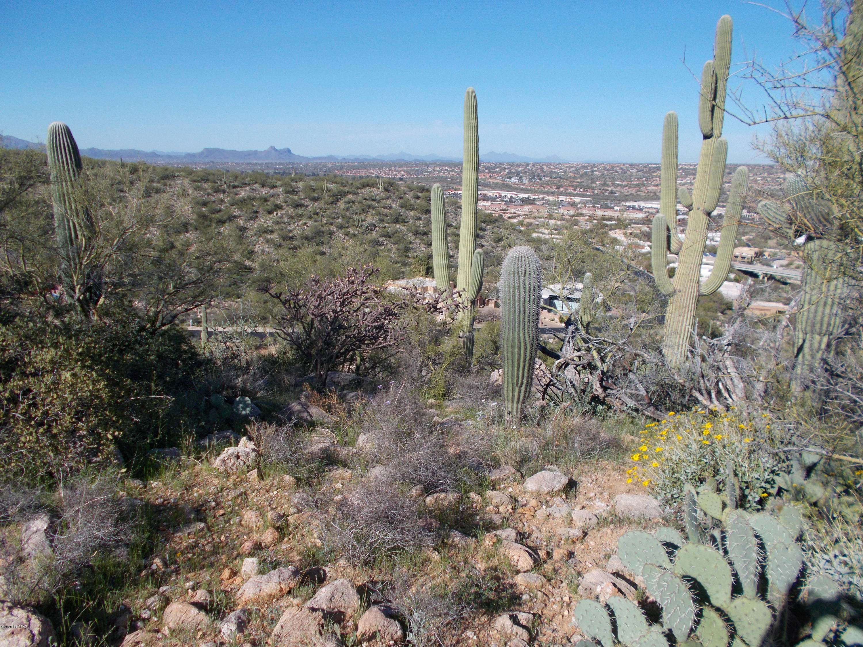 2280 Della Roccia Court, Unit 19 Oro Valley, AZ 85737 - Photo 9 of 20 a view of a city with tall buildings