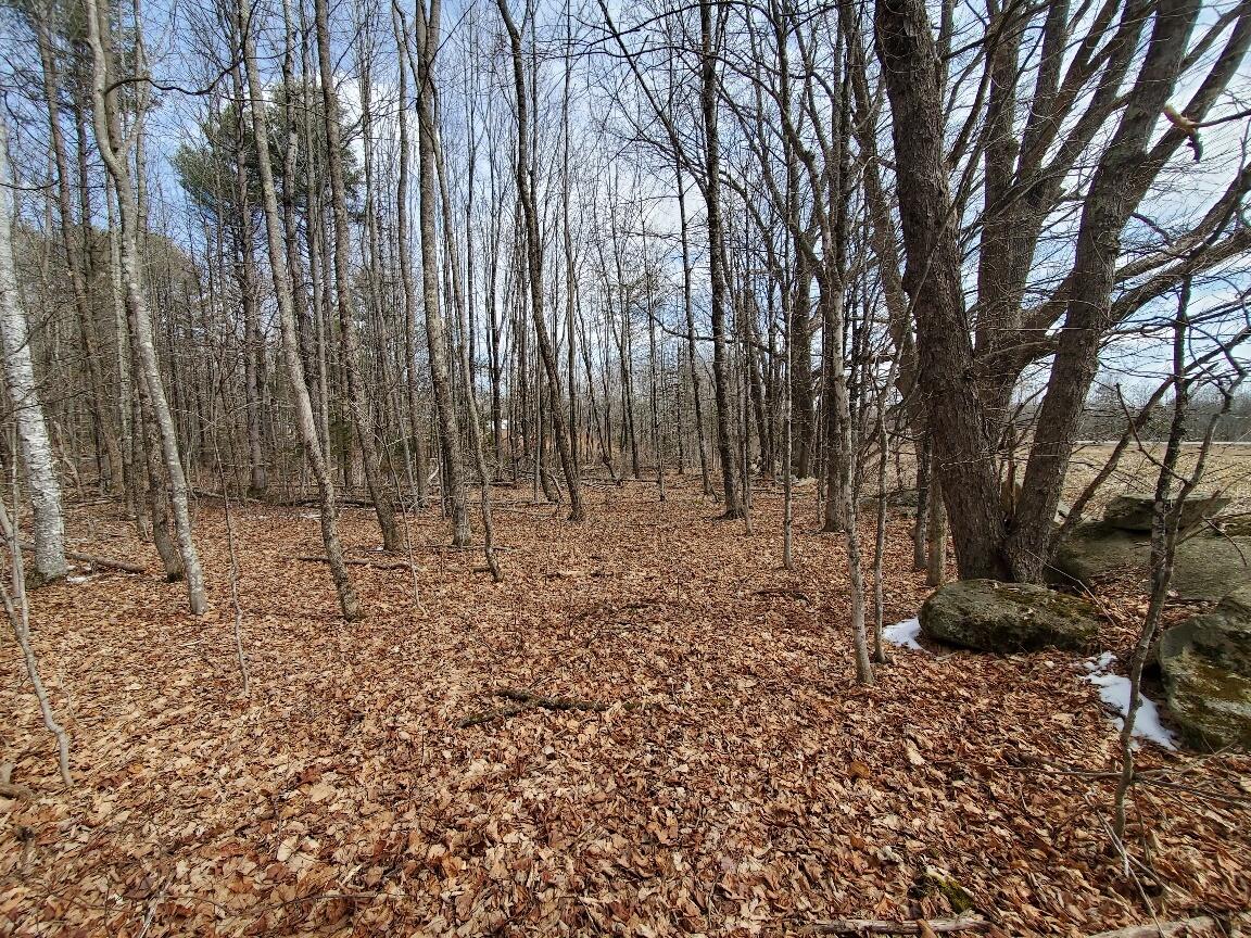 0 Burrough Road Dover-Foxcroft, ME 04426 - Photo 12 of 35 along back line-following stone wall