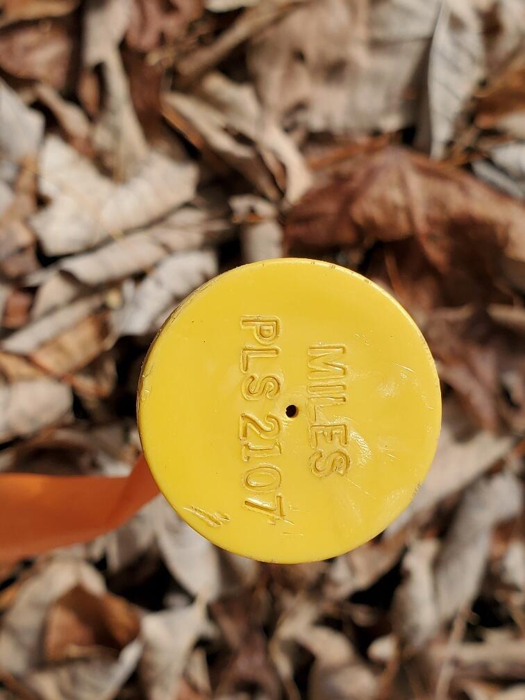 0 Burrough Road Dover-Foxcroft, ME 04426 - Photo 13 of 35 surveyor's pin at NE corner