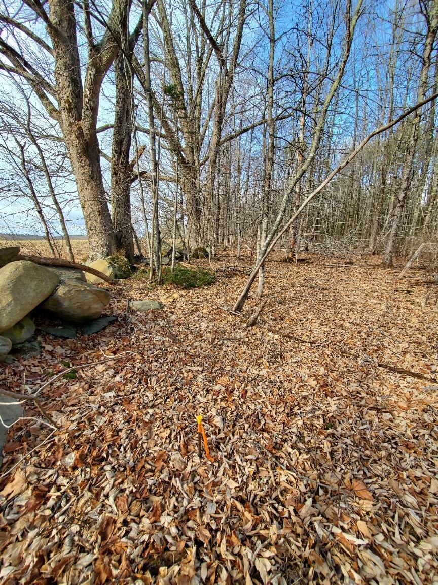 0 Burrough Road Dover-Foxcroft, ME 04426 - Photo 14 of 35 rear corner pin