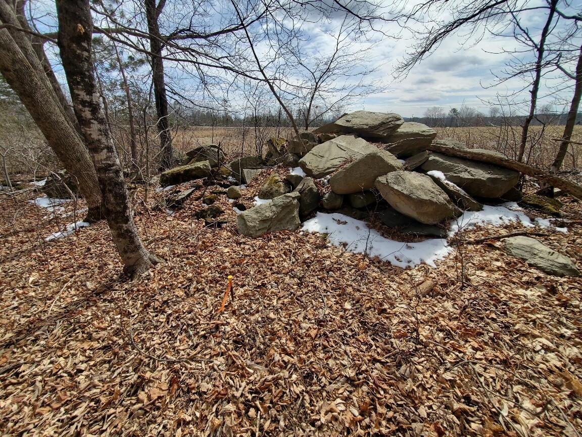 0 Burrough Road Dover-Foxcroft, ME 04426 - Photo 15 of 35 along the back line