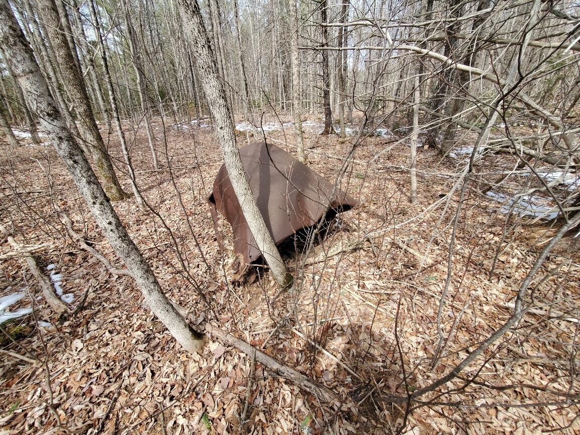 0 Burrough Road Dover-Foxcroft, ME 04426 - Photo 18 of 35 old farm remnants