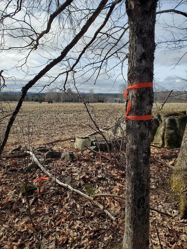 0 Burrough Road Dover-Foxcroft, ME 04426 - Photo 19 of 35 NW back corner rerod