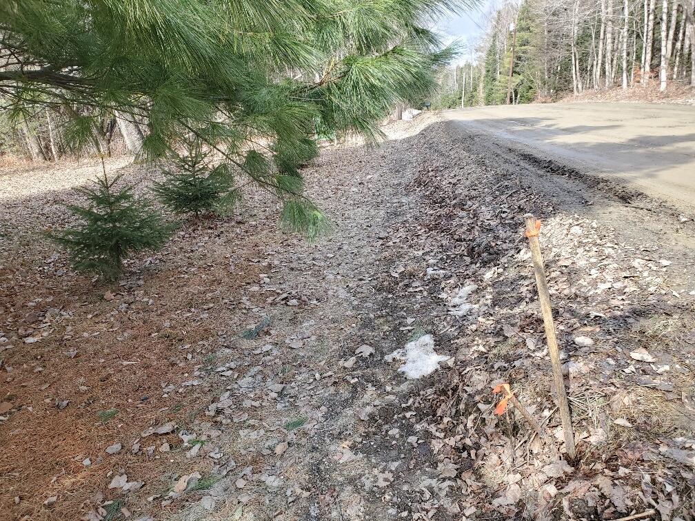 0 Burrough Road Dover-Foxcroft, ME 04426 - Photo 2 of 35 rerod at beginning of lot
