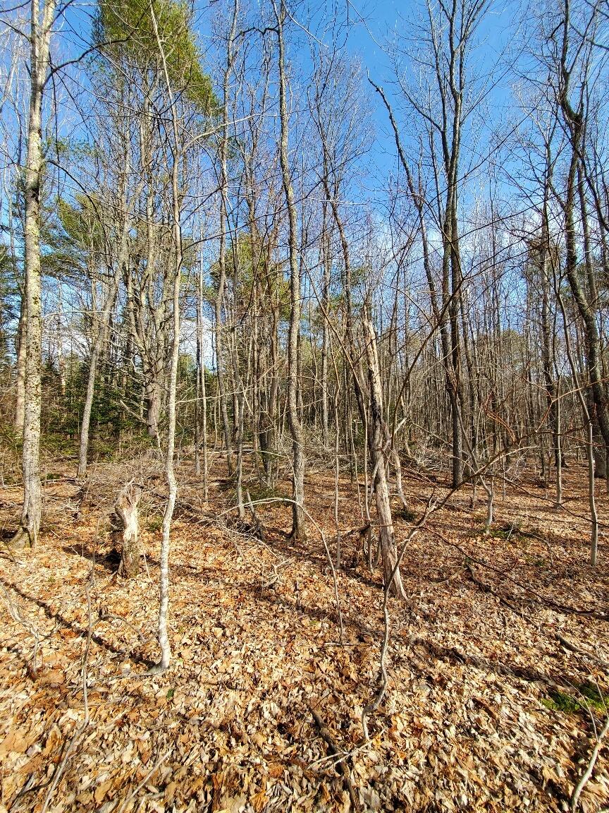 0 Burrough Road Dover-Foxcroft, ME 04426 - Photo 22 of 35 interior