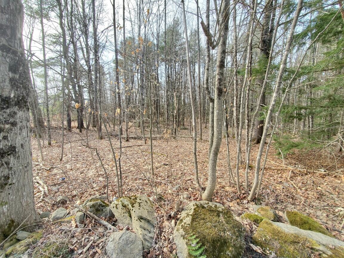 0 Burrough Road Dover-Foxcroft, ME 04426 - Photo 32 of 35 looking into lot fromroad