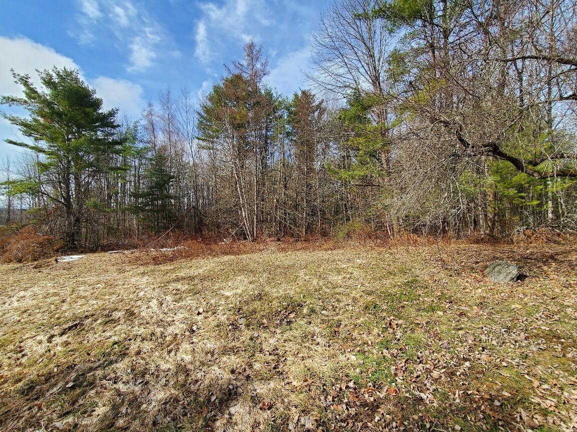 0 Burrough Road Dover-Foxcroft, ME 04426 - Photo 4 of 35 rear corner thru the woods