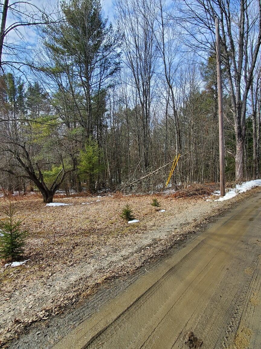 0 Burrough Road Dover-Foxcroft, ME 04426 - Photo 5 of 35 looking up Burough Rd
