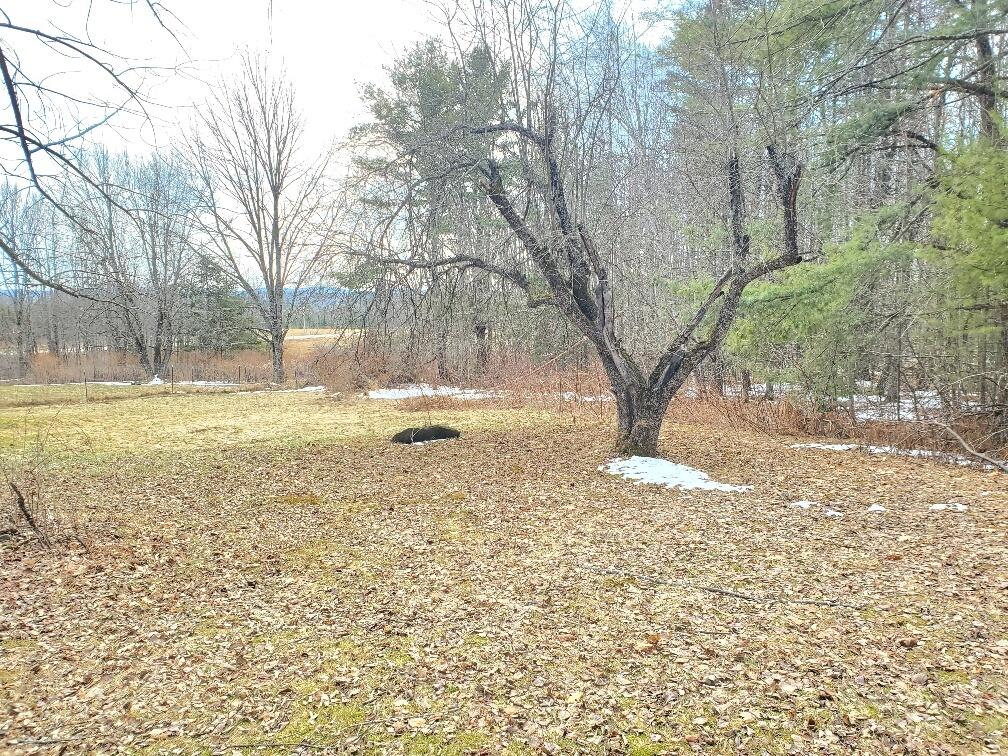 0 Burrough Road Dover-Foxcroft, ME 04426 - Photo 6 of 35 nice lawn/field area next to road