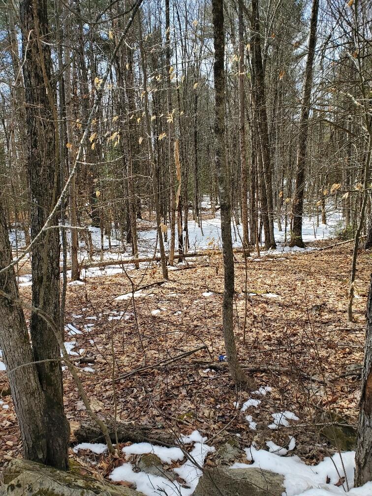 0 Burrough Road Dover-Foxcroft, ME 04426 - Photo 9 of 35 relatively easy walking