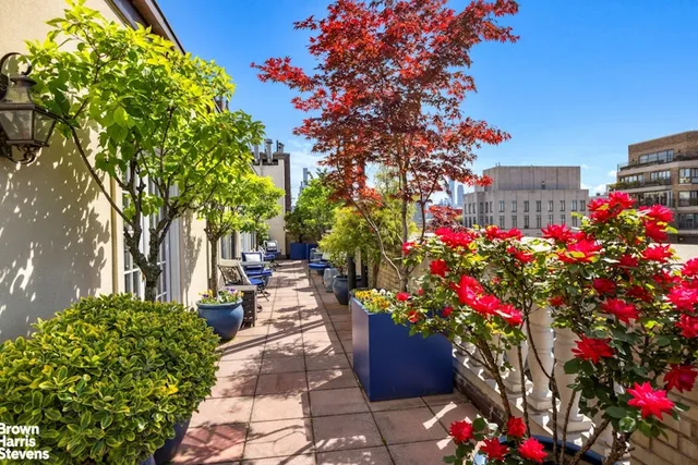 a view of a potted flower in a yard with swimming pool
